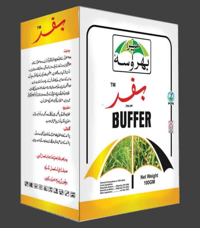 BUffer Website Image 01