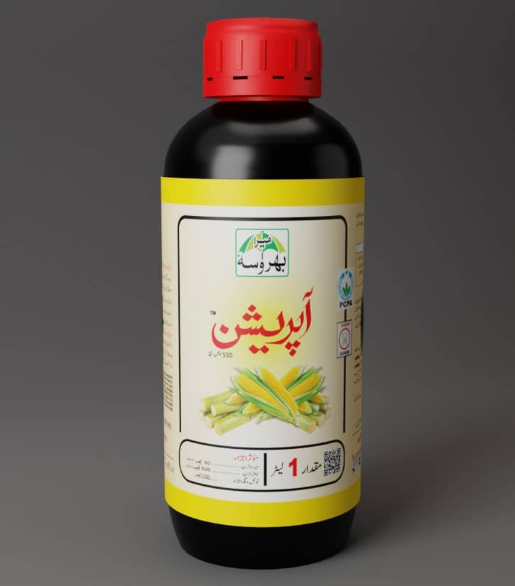 Operation Operation 2