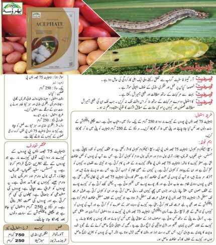 Acephate (75%SP) acephate insecticide at best price in Pakistan acephate pesticide for American army pink bollworm aphid whitefly best insecticide