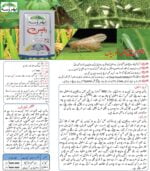 Bison 25 Wp buprofezin insecticide for whitefly, jassids, aphid, rice, and brown hoppers used on rice, best insecticide for rice field best insecticide in Pakistan buprofezin pesticide
