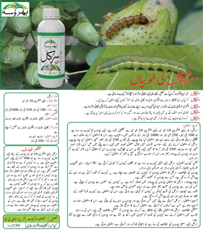 circle 10 EC Cypermethrin insecticide for best pest control in Pakistan bet cypermethrin pesticide for white fly bollworm American bollworm