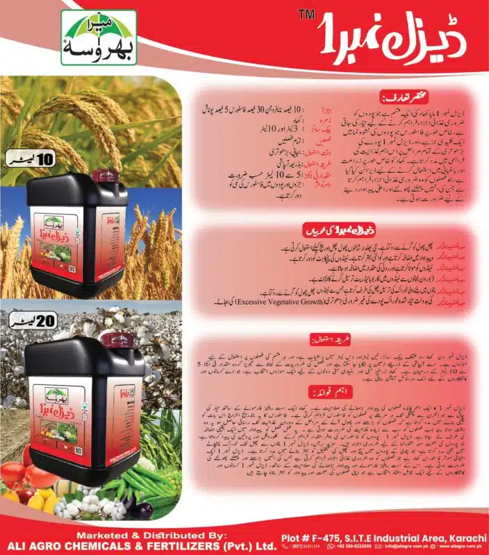 Diesel no 1
