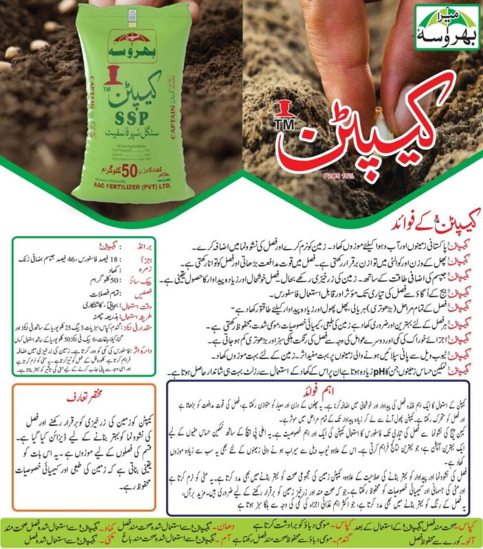 Captain SSP 18 50kg fertilizer, Single Super Phosphate 50 kg Price in Pakistan, sop granular fertilizer for plant