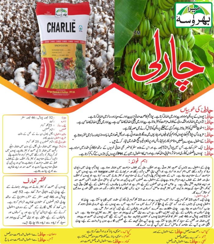 charlie potash 52 sulfur 46 sop fertilizer in Pakistan potassium and sulfur fertilizer, 25 kg sop potash fertilizer