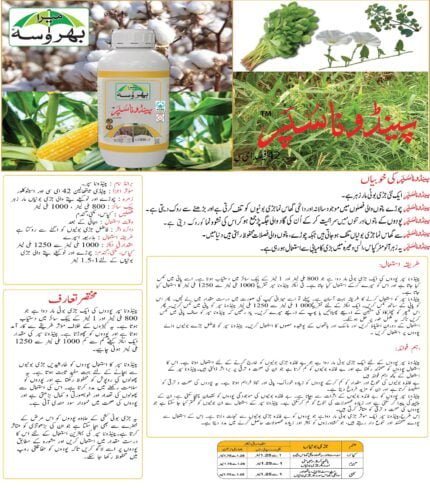 pendona super 42 EC, acetochlor price in pakistan pendimethalin price in pakistan acetochlor pendimethalin herbicide weedicide liquid wheat